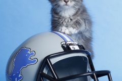 Carookh_09W_unbearbeitet