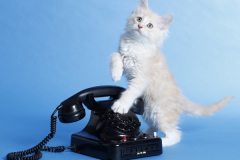 Churel_09W_unbearbeitet_(2)