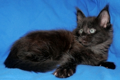 Kalona_08W (2)